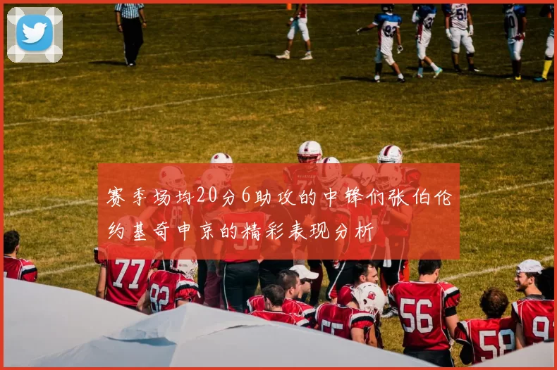 赛季场均20分6助攻的中锋们张伯伦约基奇申京的精彩表现分析